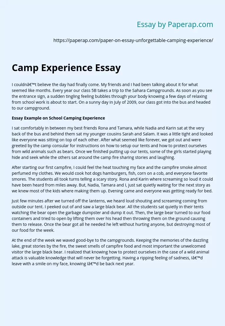 My Unforgettable School Camping Experience Free Essay Example