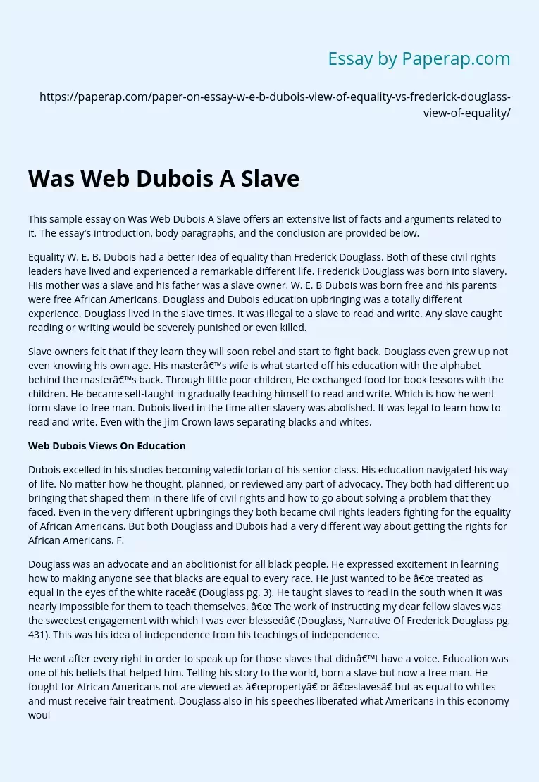 Sample Essay on Was Web Dubois a Slave