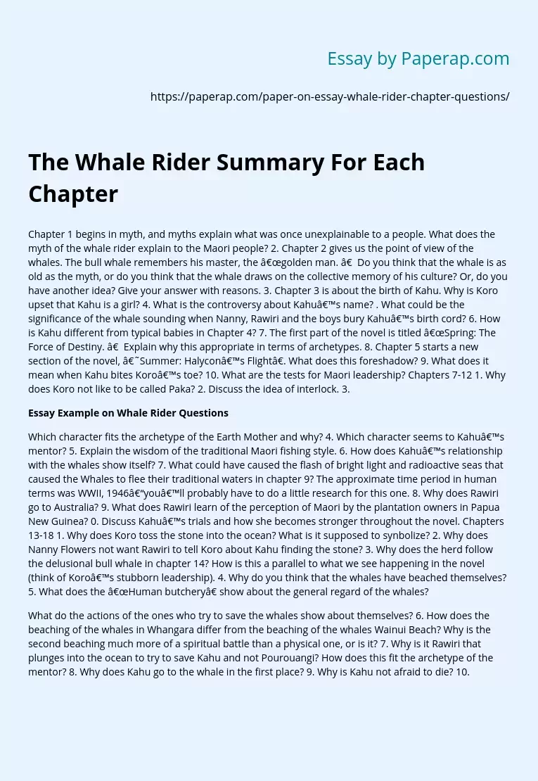 the kite rider chapter summaries