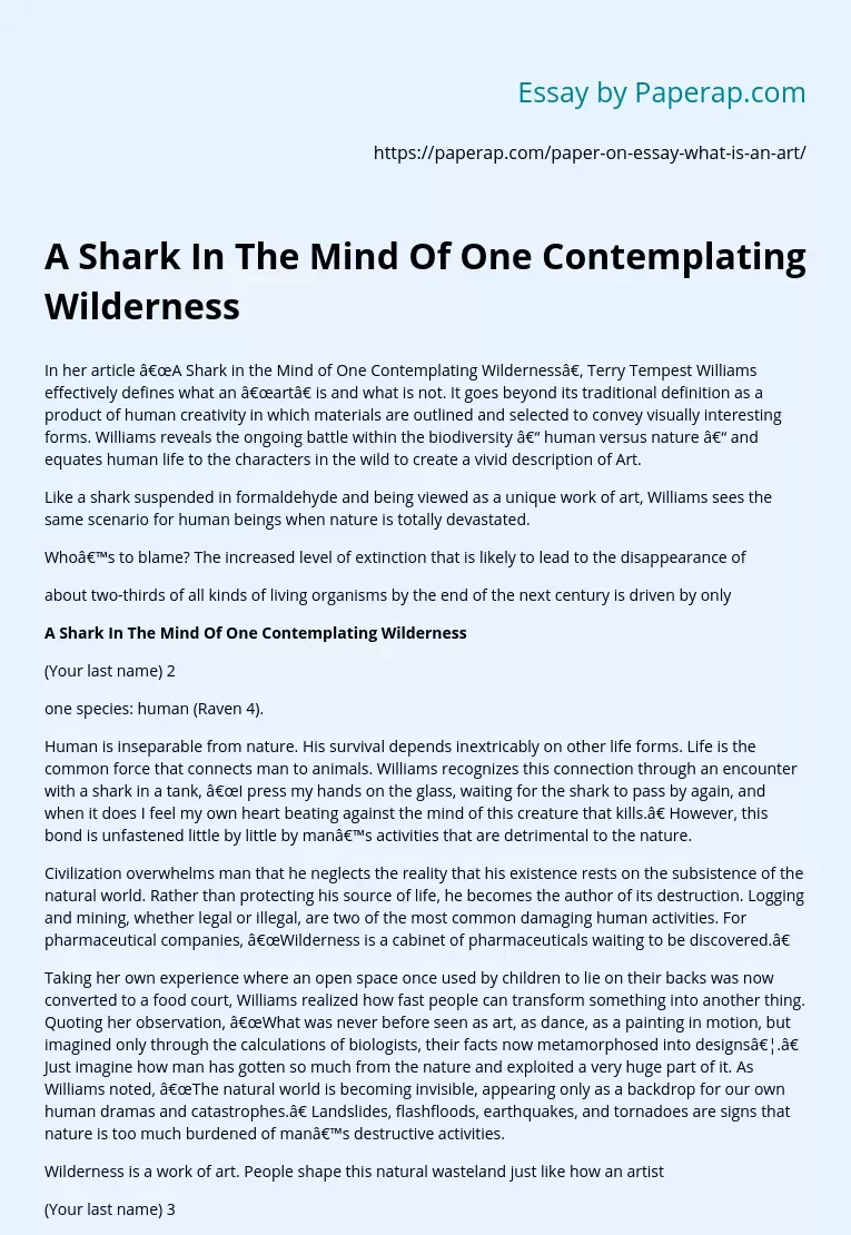 A Shark In The Mind Of One Contemplating Wilderness