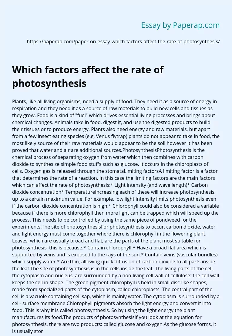Which Factors Affect the Rate of Photosynthesis?