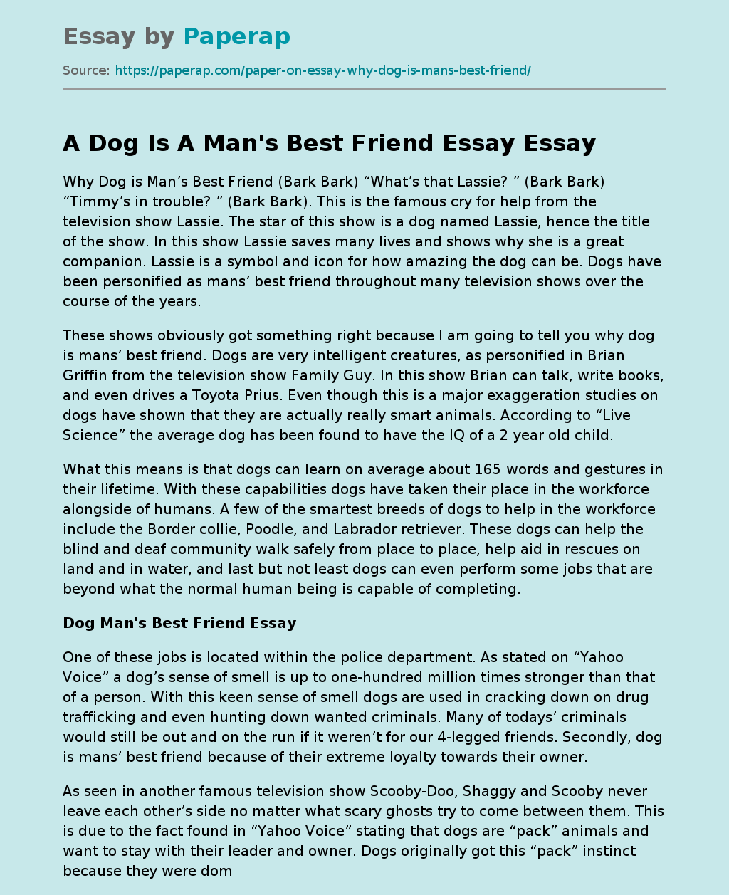 A Dog Is A Man's Best Friend Essay