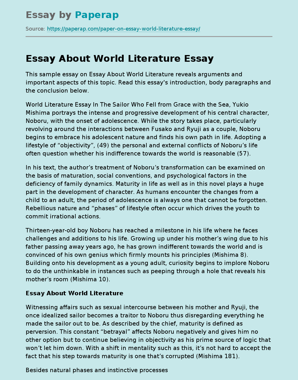 Essay About World Literature