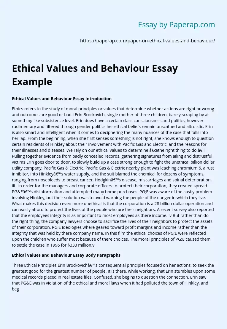 Ethical Values and Behaviour Essay Example