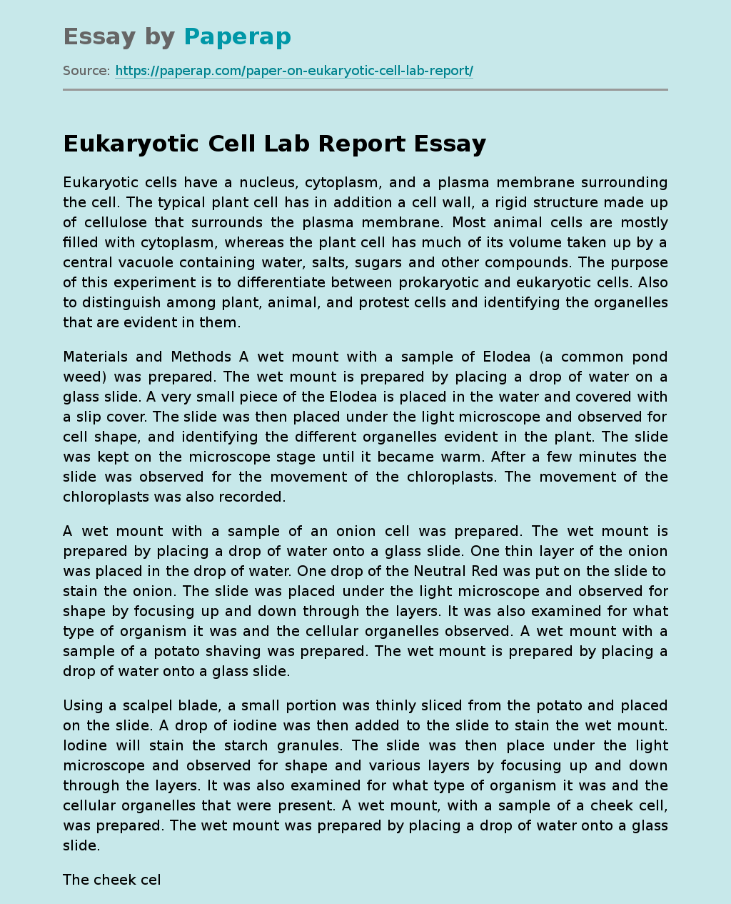 Eukaryotic Cell Lab Report