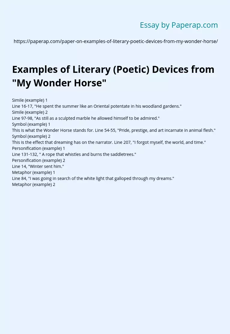 Examples of Literary (Poetic) Devices from &quot;My Wonder Horse&quot;