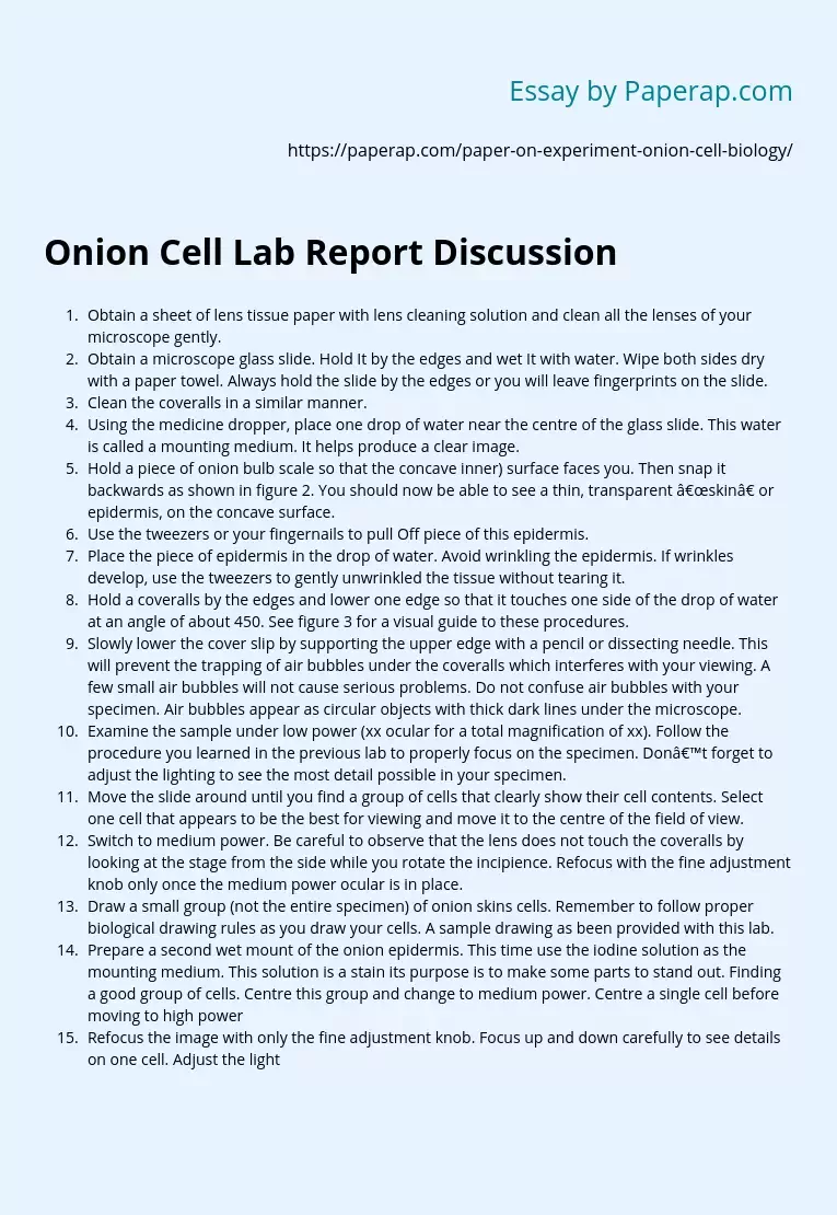 Onion Cell Lab Report Discussion