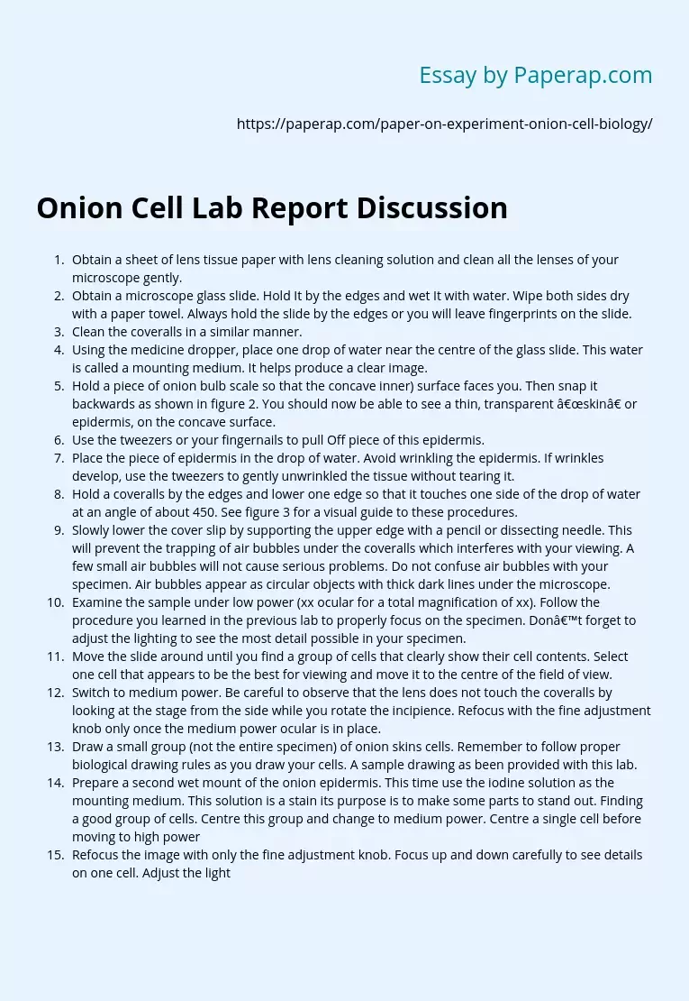 onion-cell-lab-report-discussion-report-conclusion-essay-example