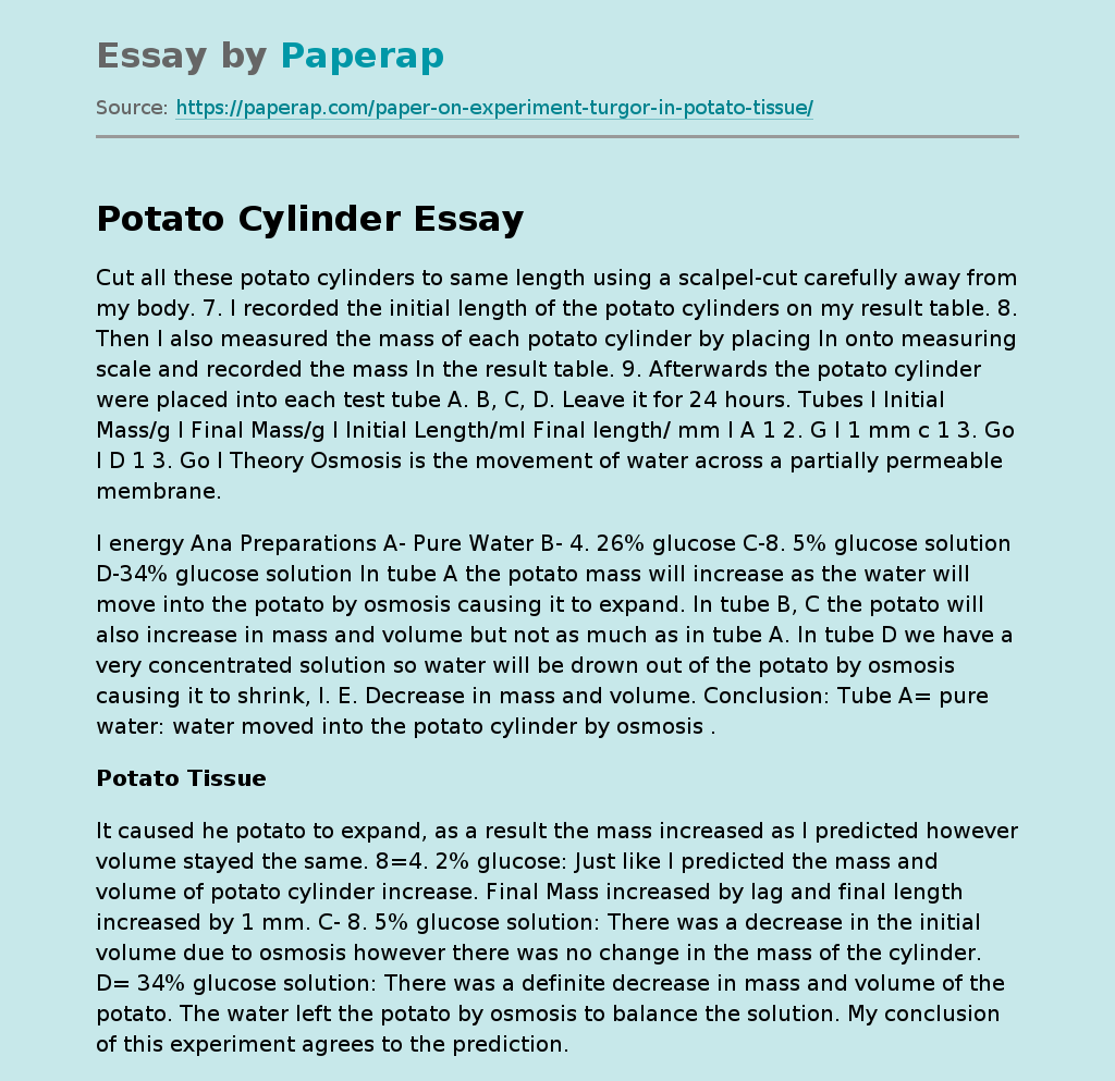 Potato Cylinder