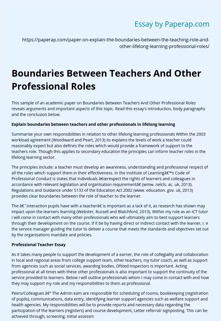 Boundaries Between Teachers And Other Professional Roles