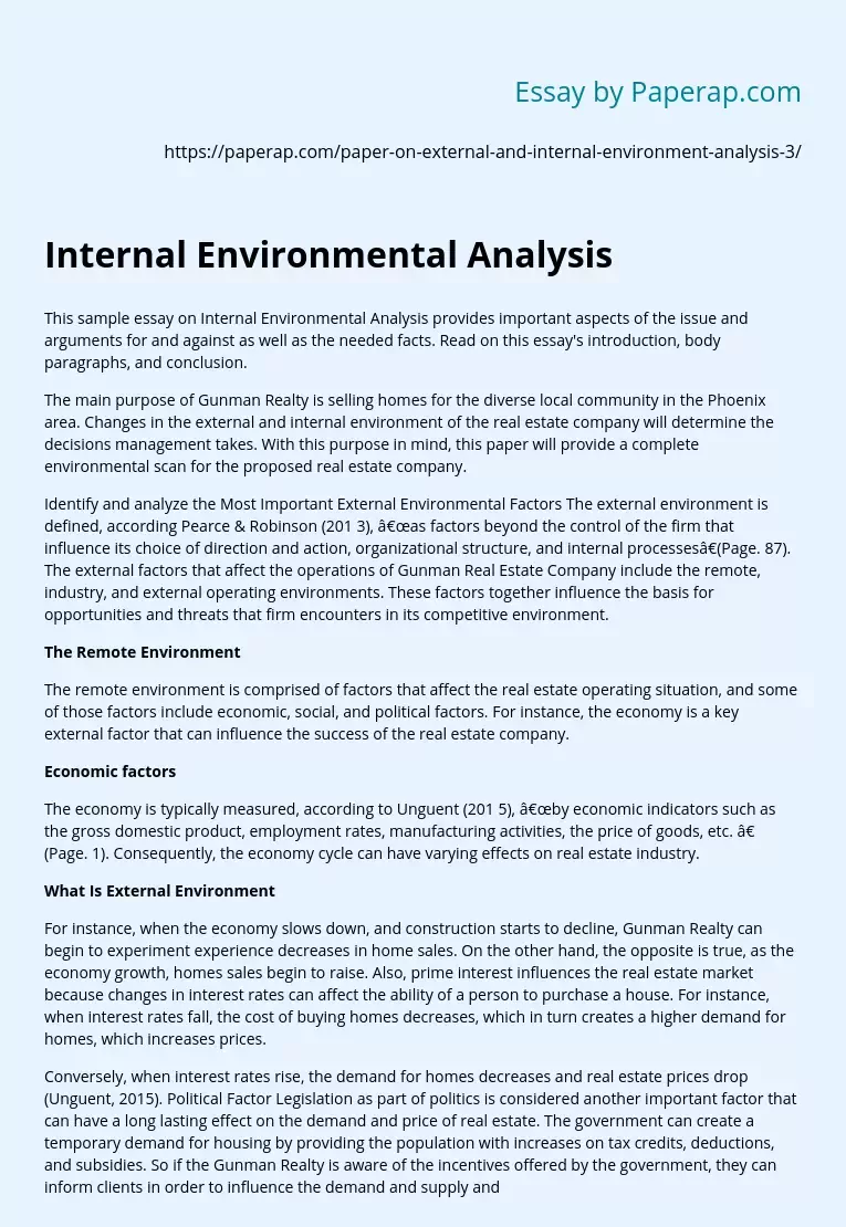 Internal Environmental Analysis