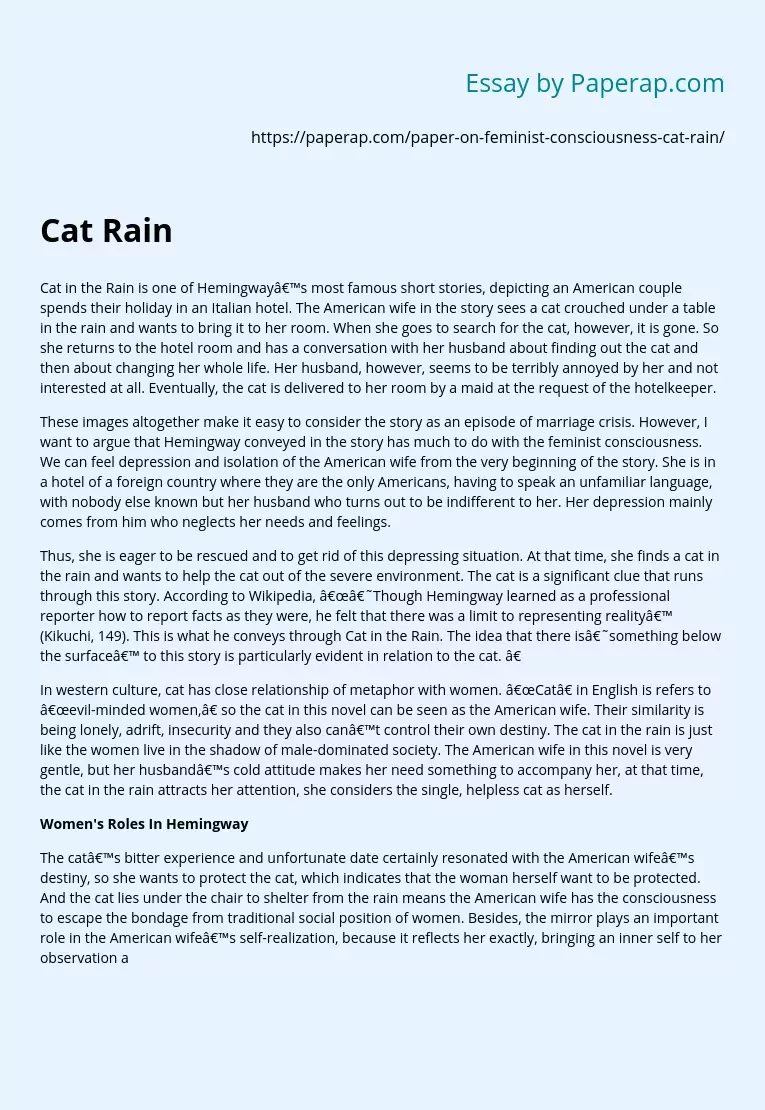 Feminist Consciousness in Cat in the Rain