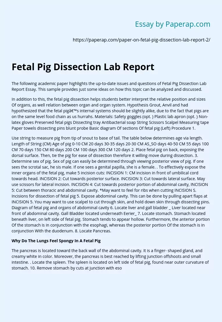 Fetal Pig Dissection Lab Report