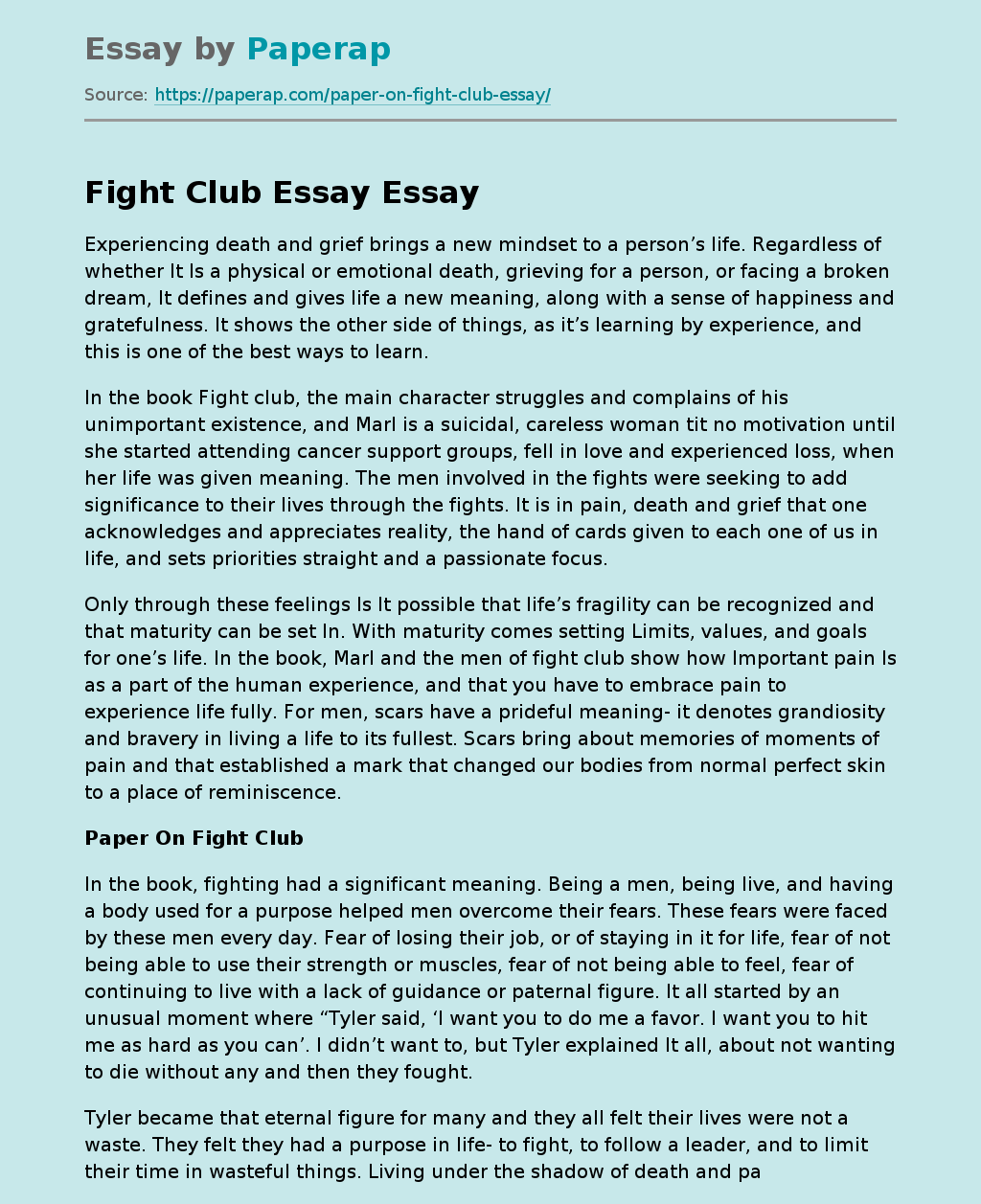 Fight Club Essay