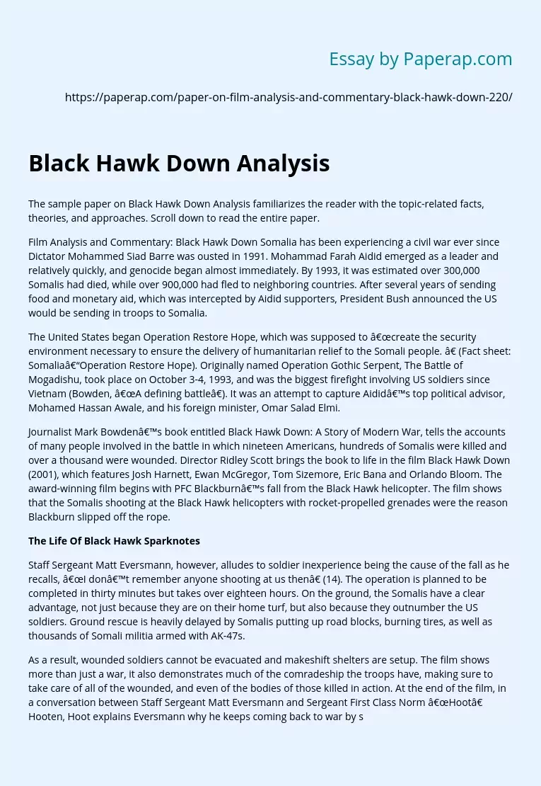 Black Hawk Down Analysis