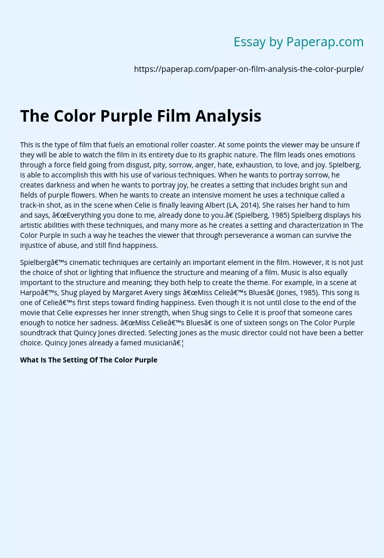 The Color Purple Film Analysis