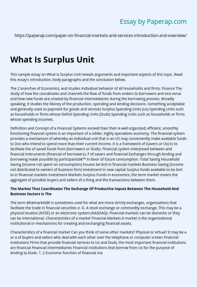 What Is Surplus Unit in Economics