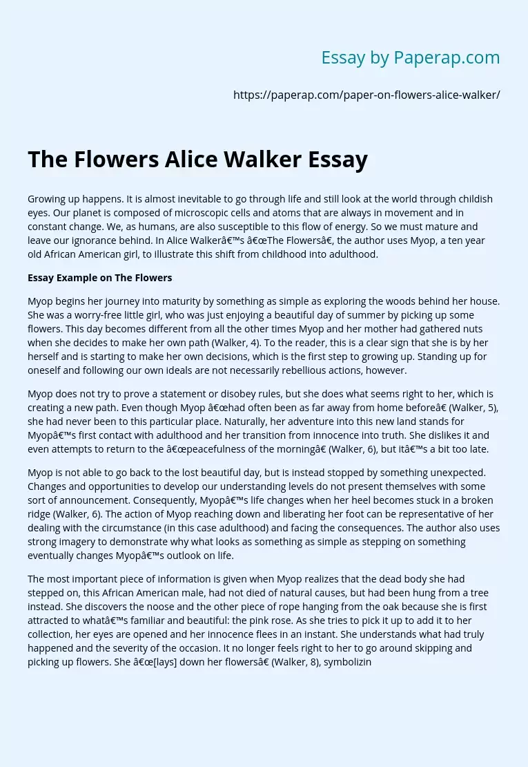 antik en kreditor madras The Flowers Alice Walker Essay Free Essay Example