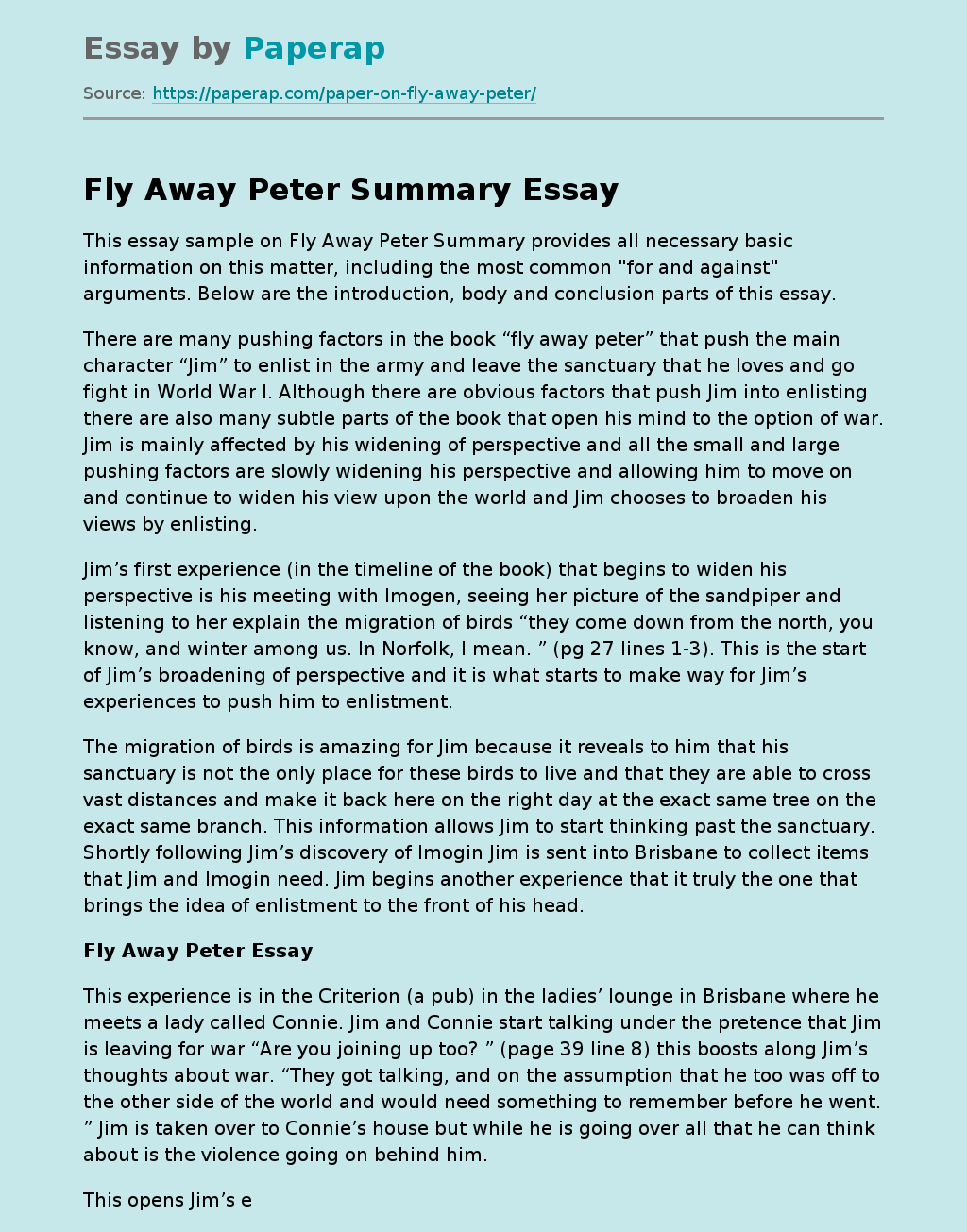 Fly Away Peter Summary