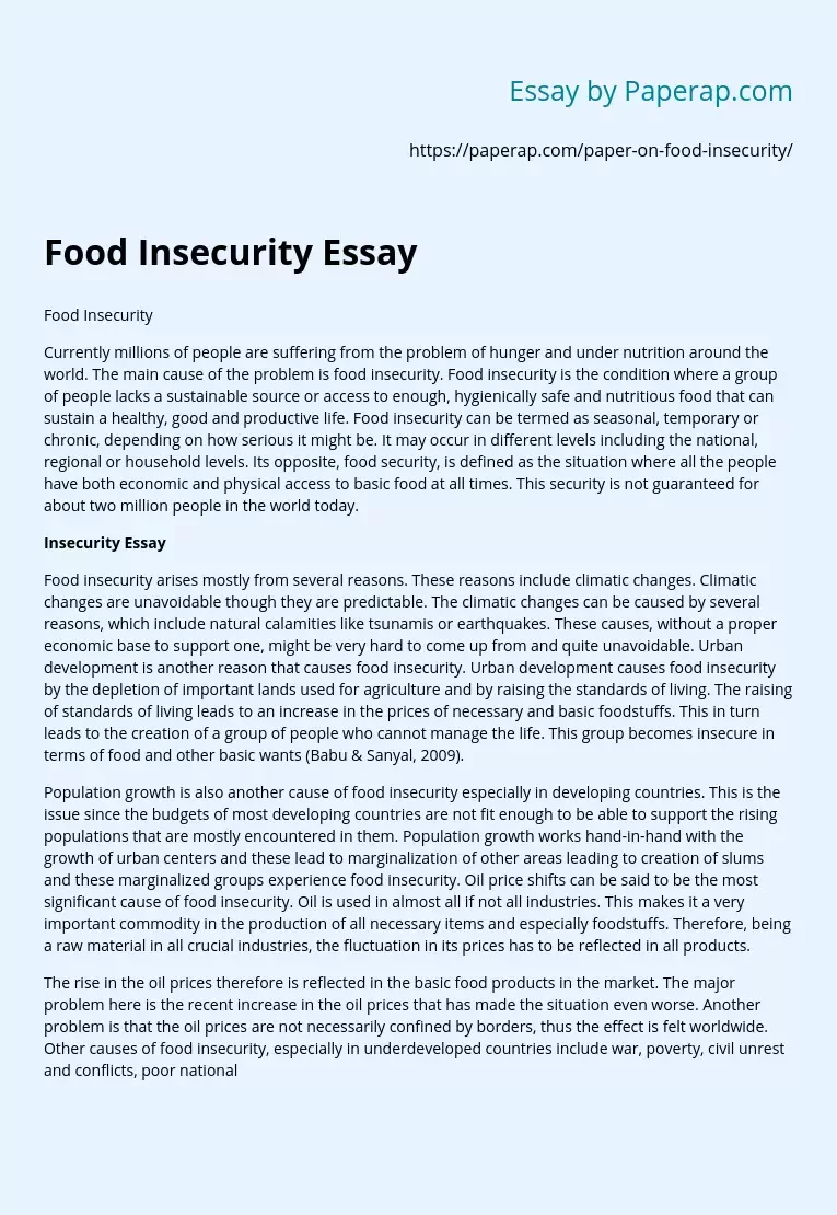 food insecurity in the world essay