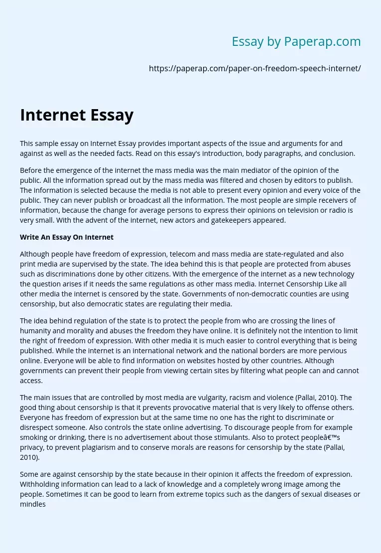 Freedom of Speech Issue on Internet Essay