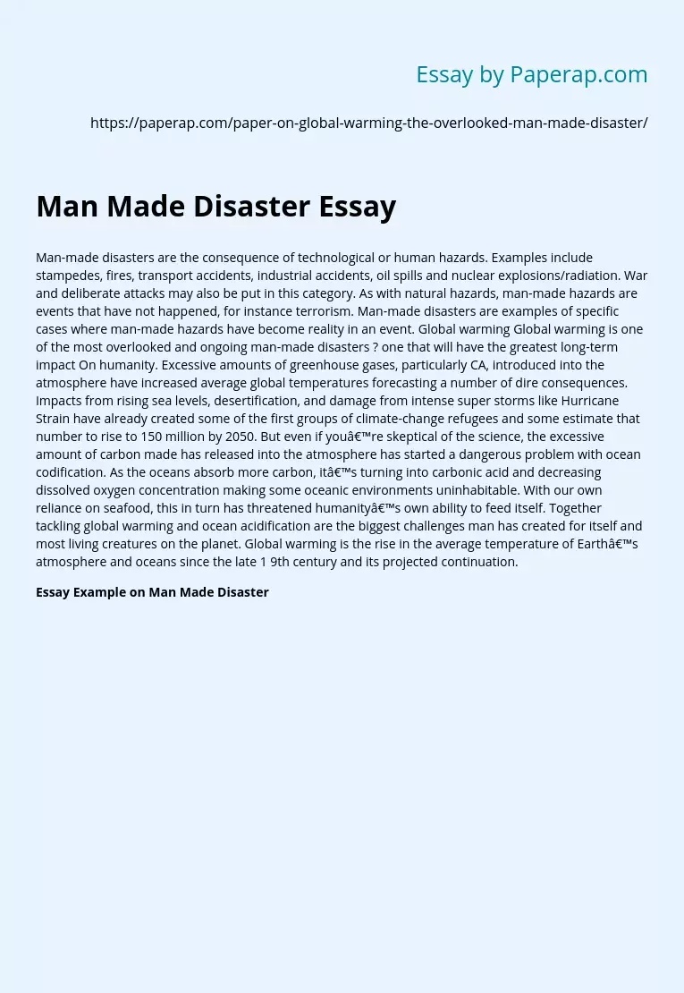 essay on man made disaster 1000 words