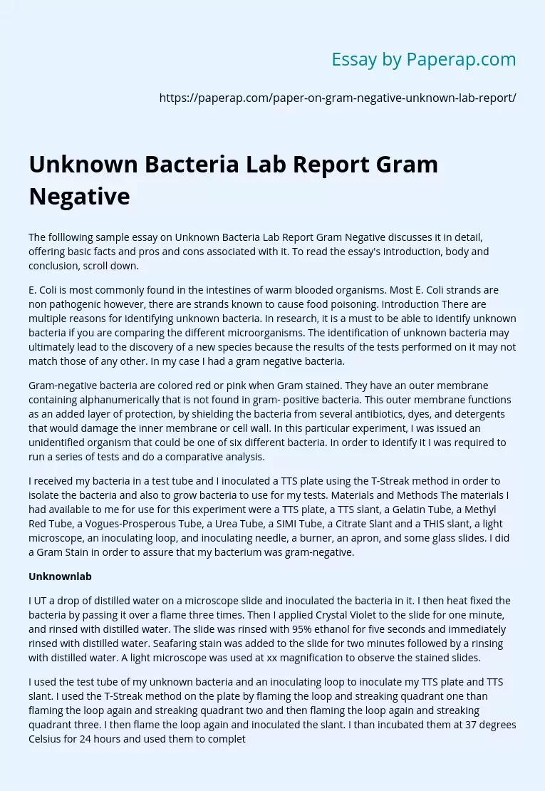 Unknown Bacteria Lab Report Gram Negative