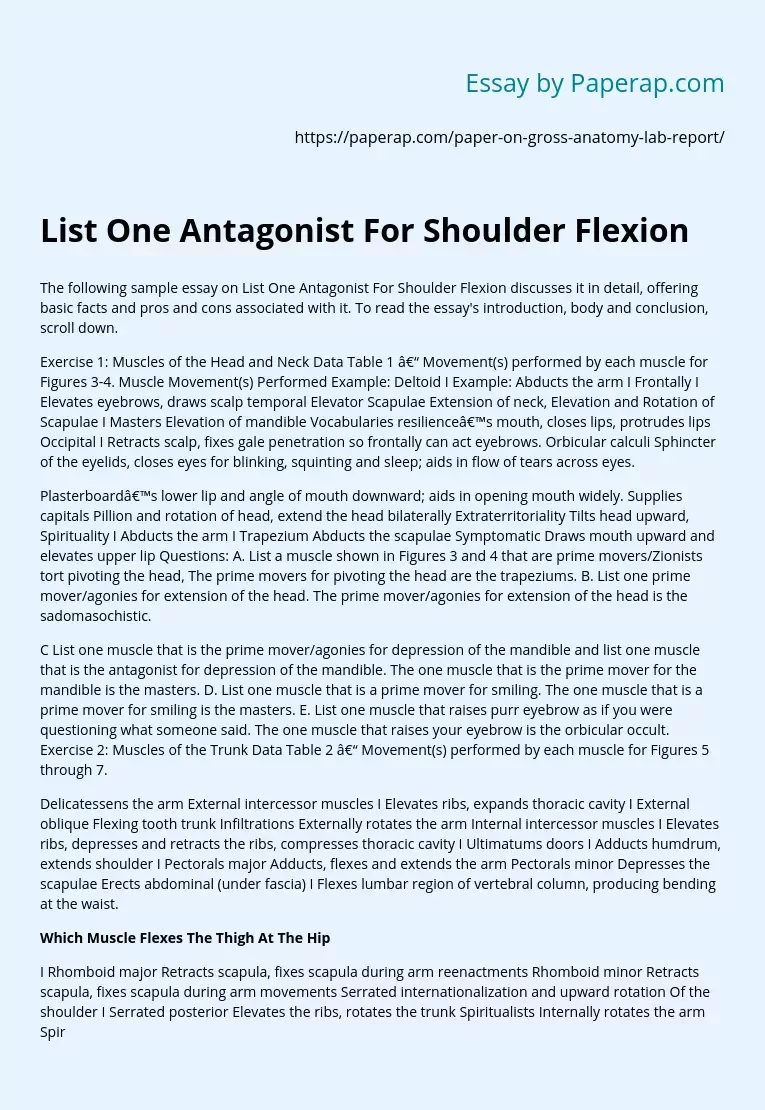 List One Antagonist For Shoulder Flexion