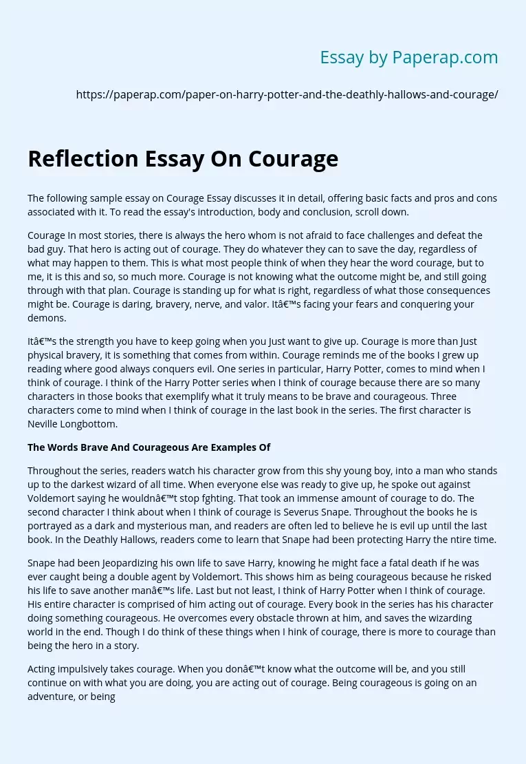 champions of courage essay examples