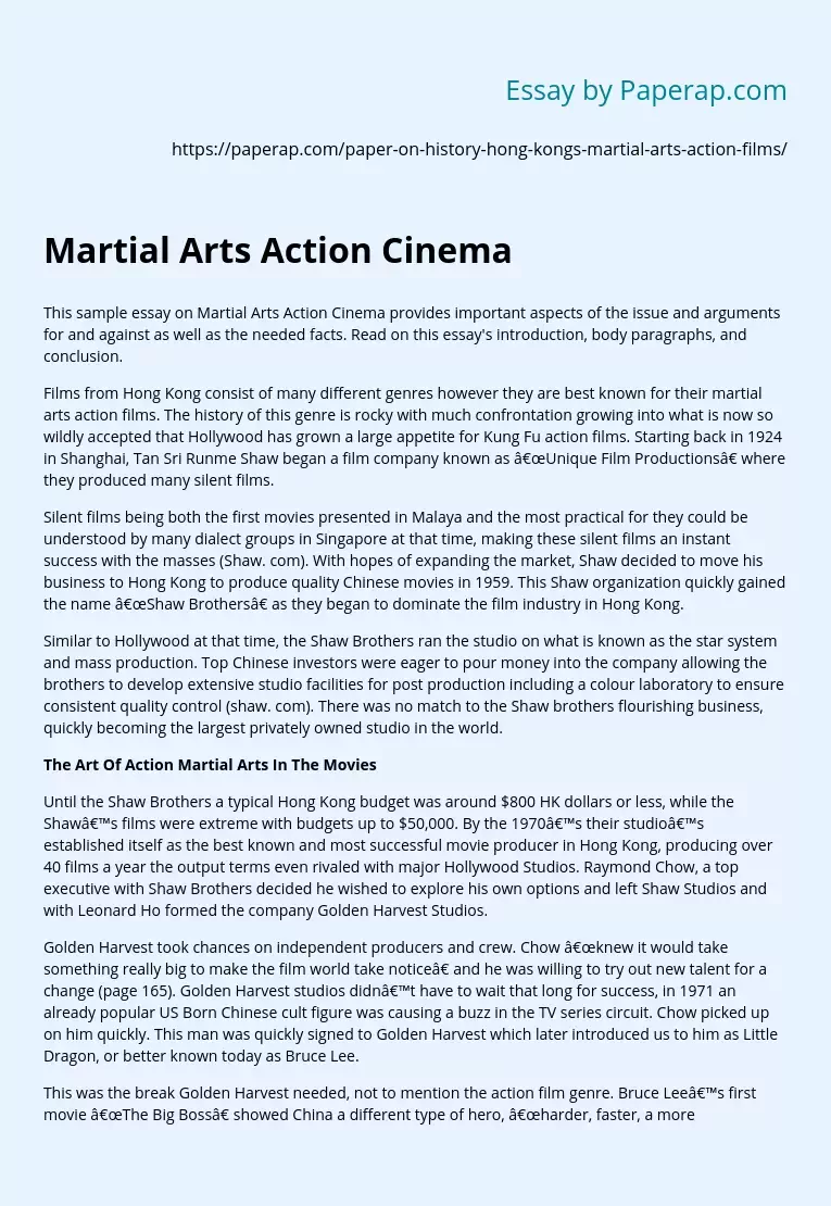 Martial Arts Action Cinema