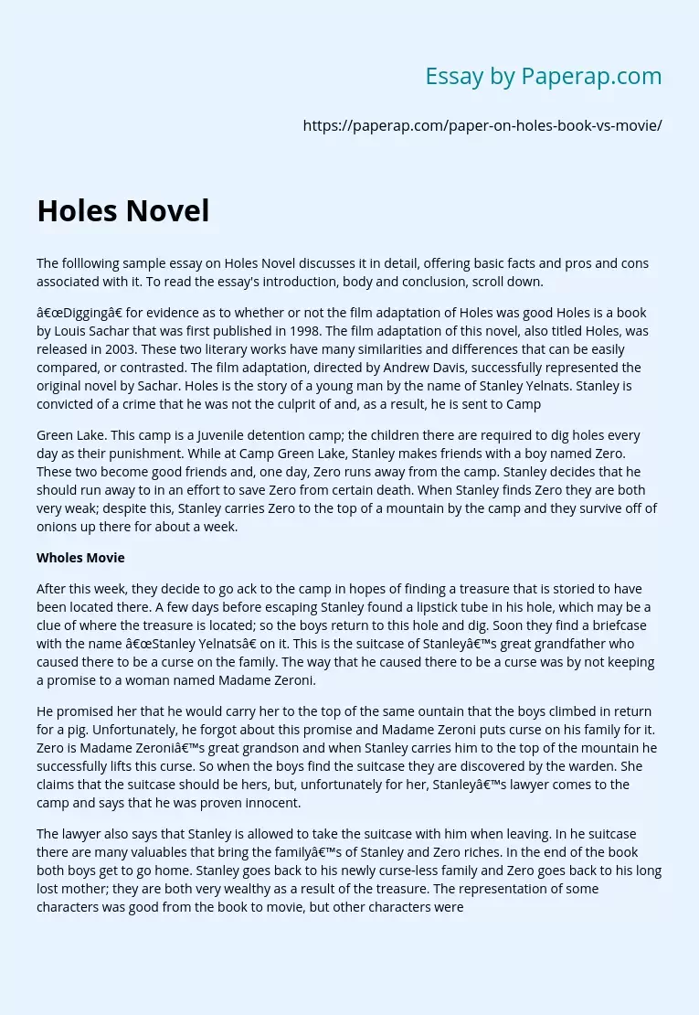 Holes Novel by Louis Sachar vs Movie Analysis