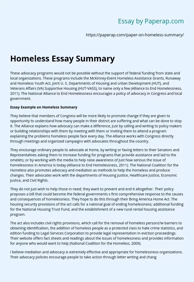 Homeless Essay Summary