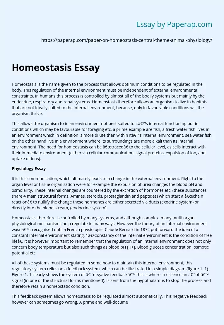write an essay on homeostasis