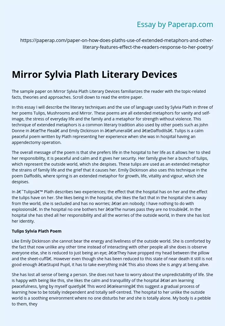 poetry analysis of mirror by sylvia plath