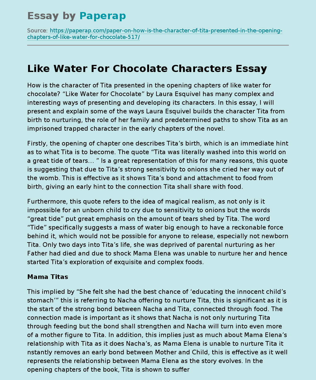 like water for chocolate symbolism essay