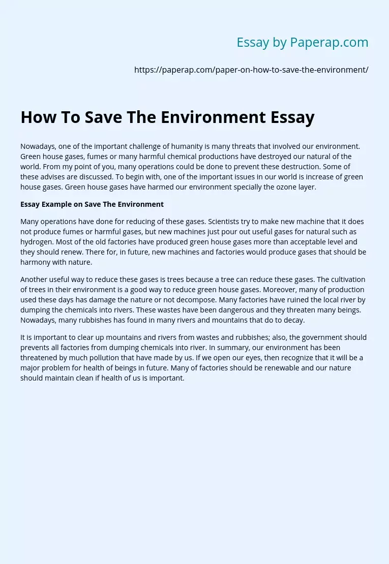 How To Save The Environment Essay