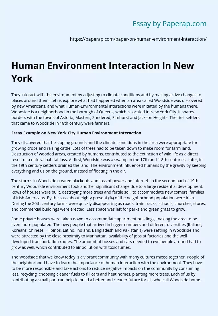 Human Environment Interaction In New York