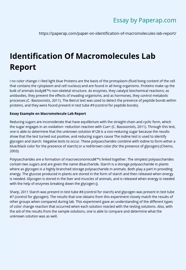Identification Of Macromolecules Lab Report