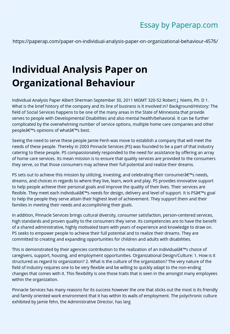 Individual Analysis Paper on Organizational Behaviour