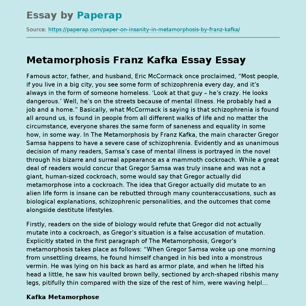 Metamorphosis Franz Kafka Essay
