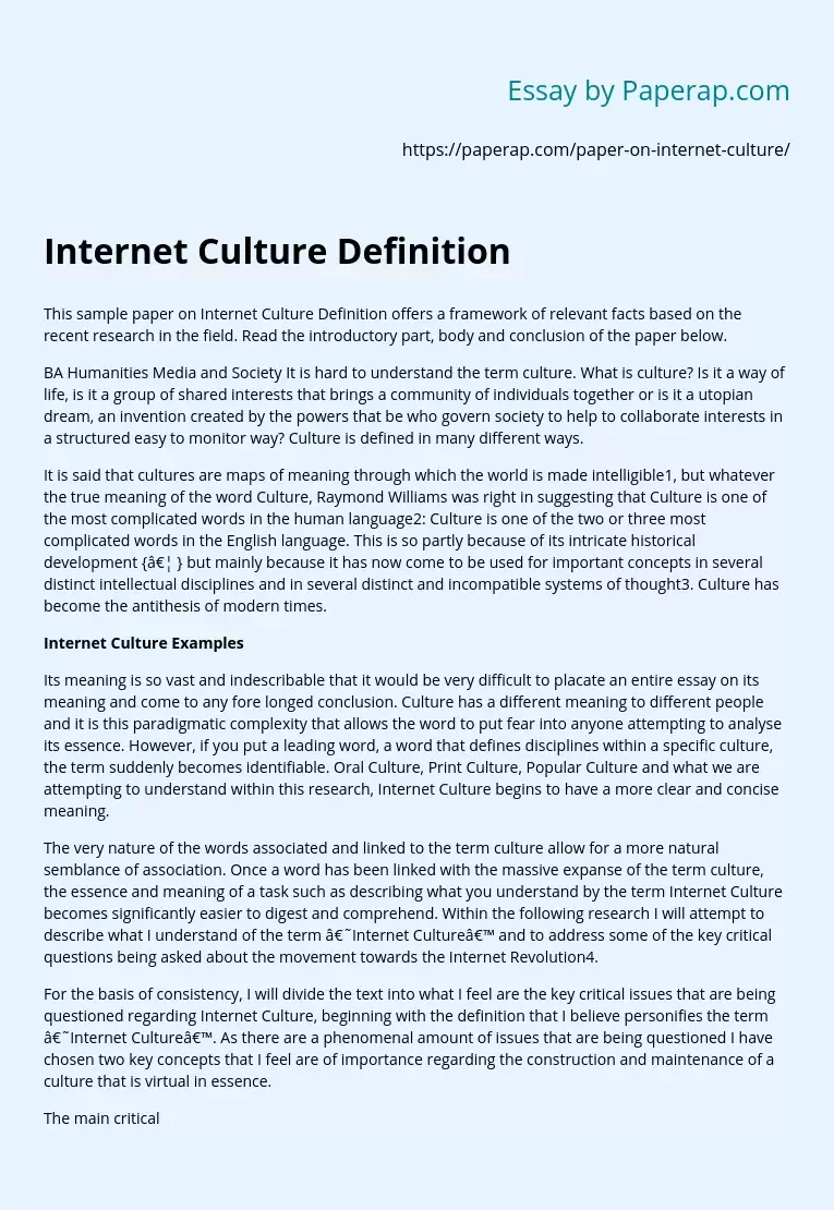 Internet Culture Definition