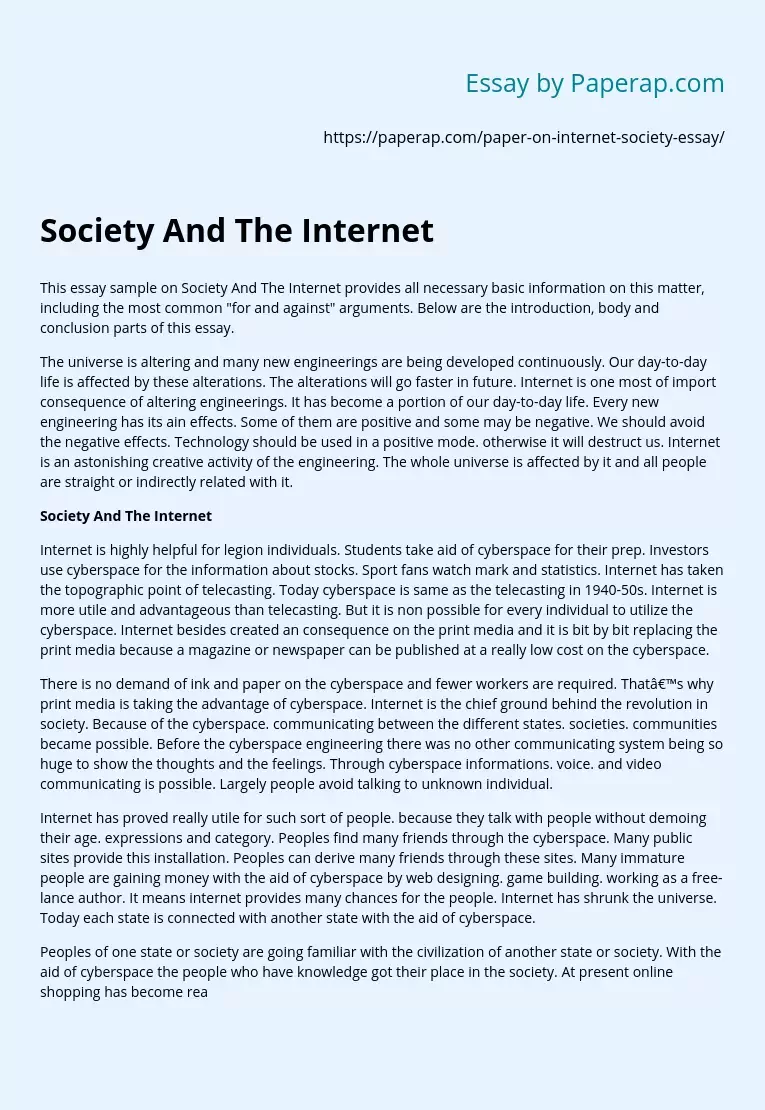 Society And The Internet