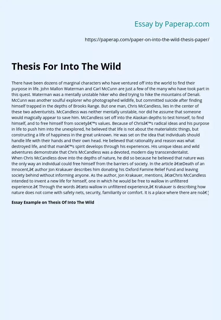 Реферат: Inot The Wild Essay Research Paper Into