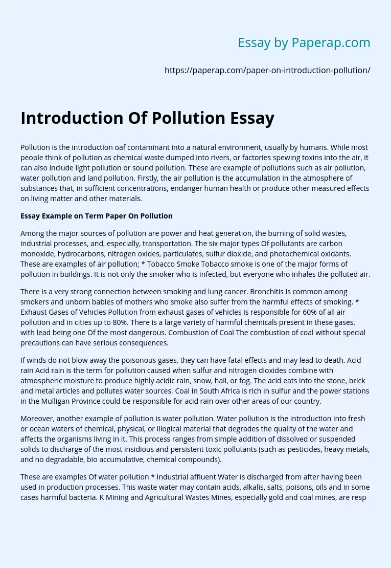 Introduction Of Pollution Essay