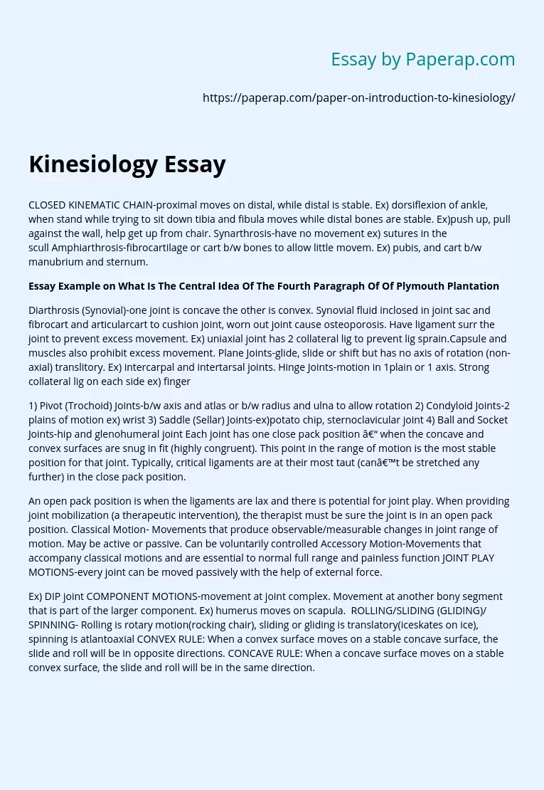 Kinesiology Essay