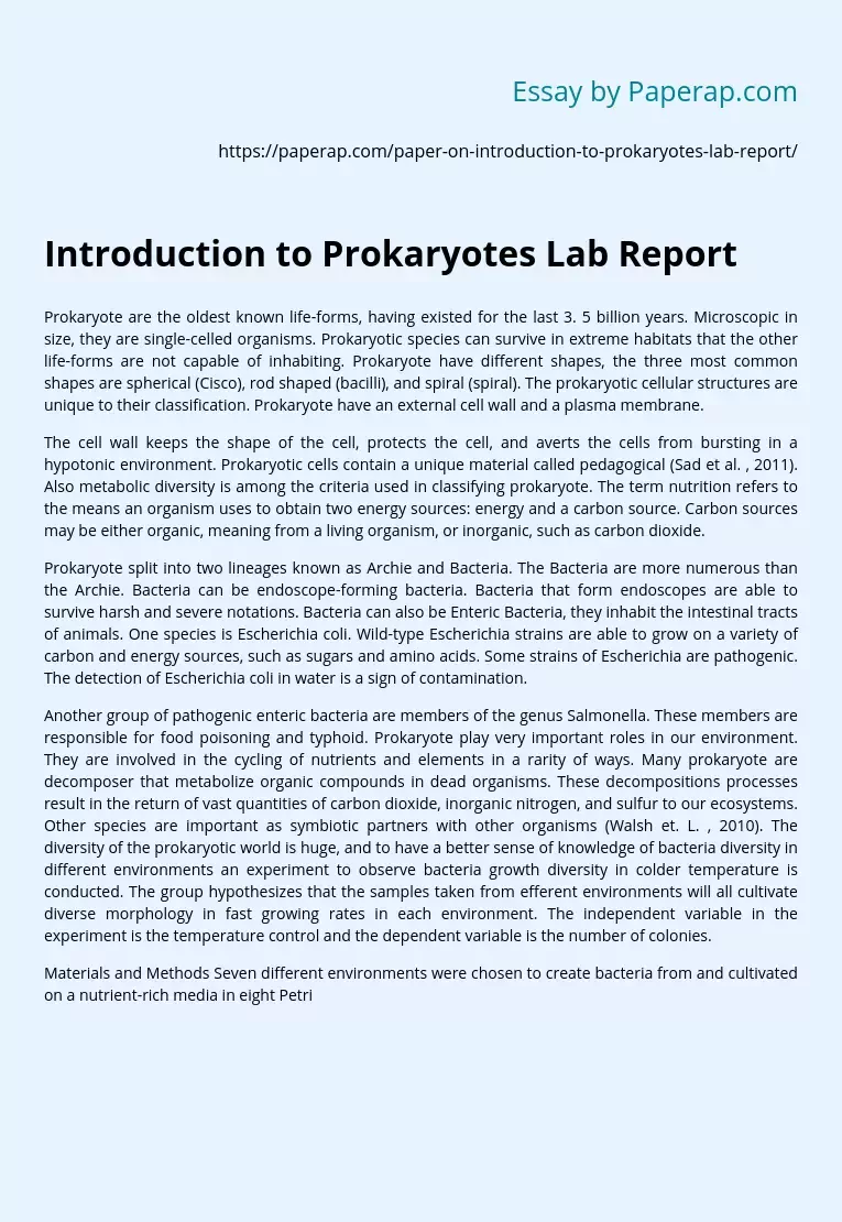 Introduction to Prokaryotes Lab Report