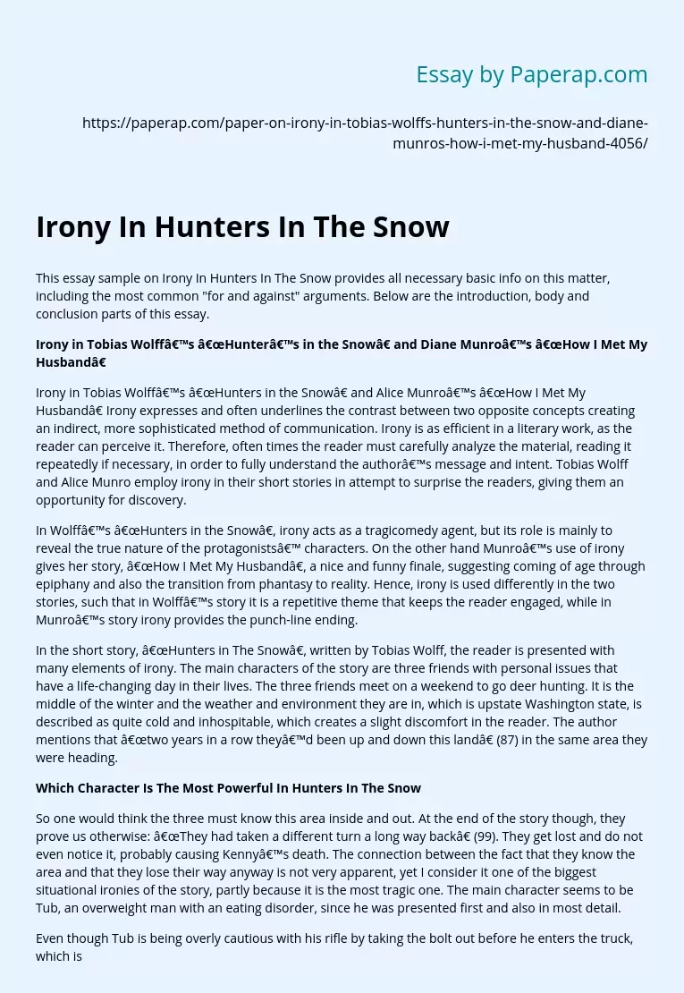 Irony In Hunters In The Snow