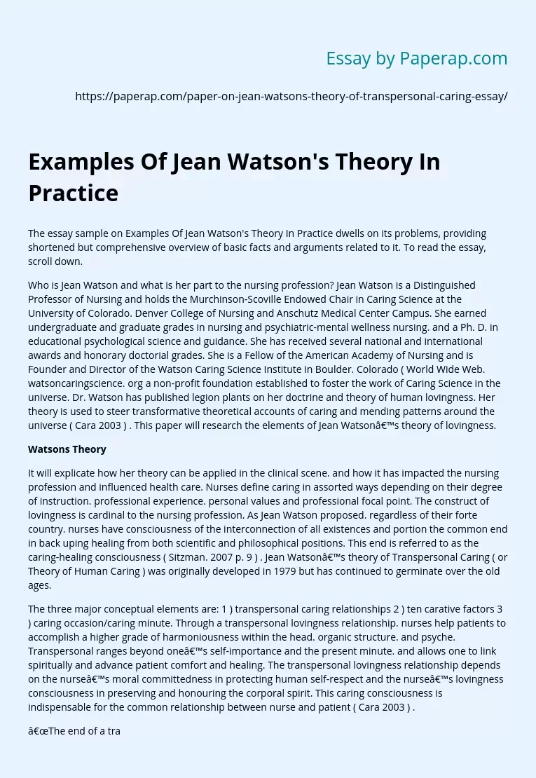 Examples Of Jean Watson's Theory In Practice