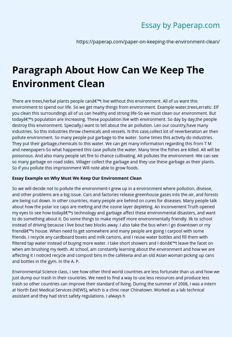 Paragraph About How Can We Keep The Environment Clean Speech Essay 