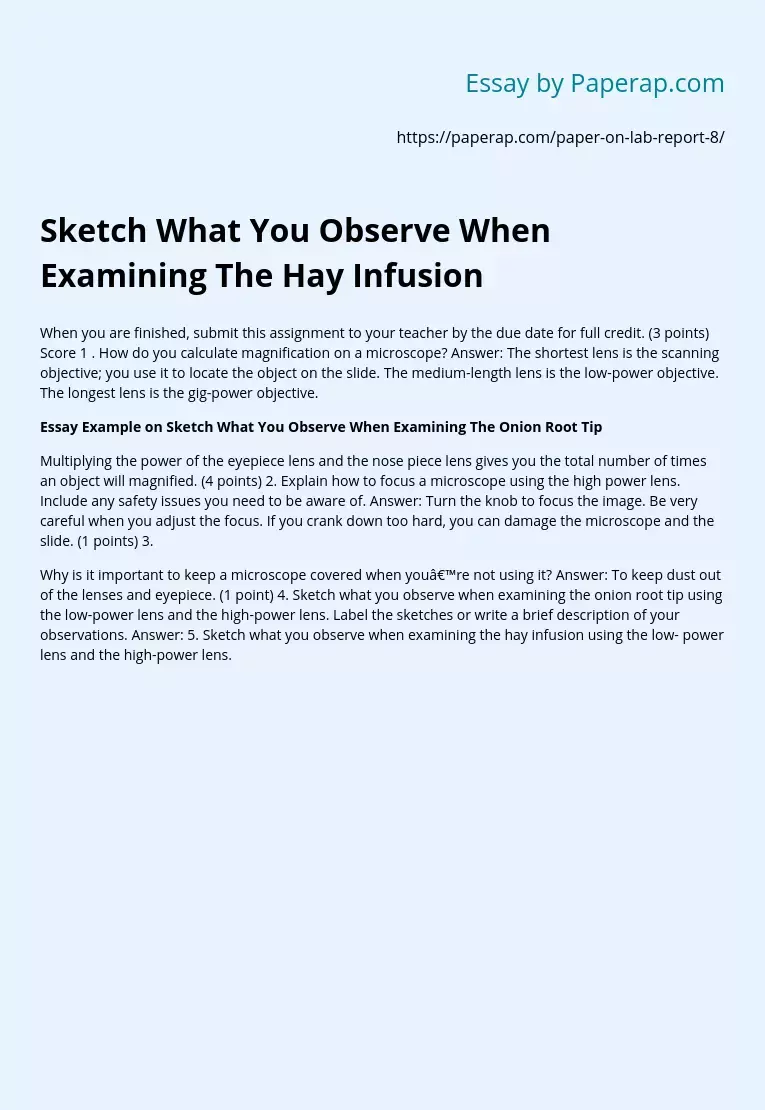 Sketch What You Observe When Examining The Hay Infusion